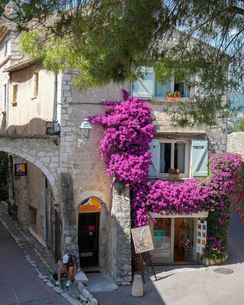 Street lined with bougainvillea on a European city break