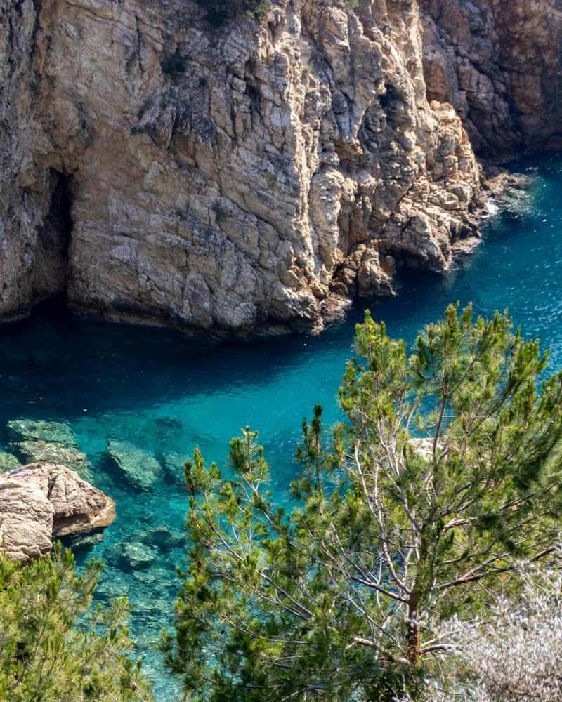 Turquoise sea below pine-covered cliffs on the Turkish coast