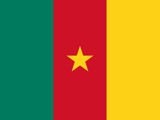 Cameroon Flag